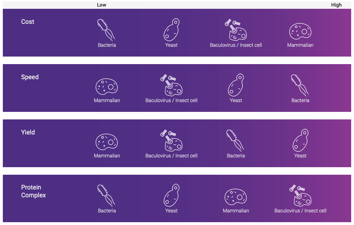 Protein Expression Library Protein Expression Facility University of Queensland